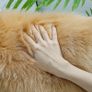 Faux Fur Sheepskin Rug, Beige, 2x6 ft | Super Soft Fluffy, High-Density Cushion, Bedroom Floor Sofa Living Room Runner, Plush Carpet, Sofa Cover Bedside Image 6