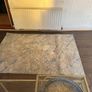 rug free Image 3