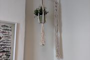 Plant holder