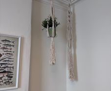 Plant holder