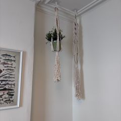 Plant holder