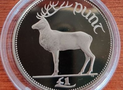 Irish 1 Pound Proof 1990
