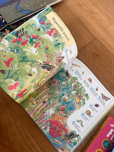 1001 Bugs To Spot (Usborne)
