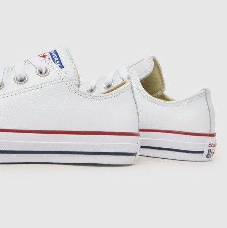 Converse Trainers