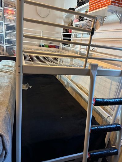 loft bed frame free with 2 single mattress