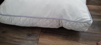 XL dog bed new