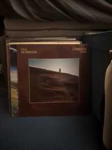 Van Morrison - Common One (LP, Album) Irish Pressing Vinyl