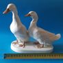 Ducks - Large Image 7