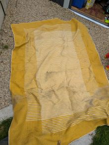 Rug