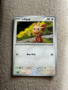 Lillipup 170/197