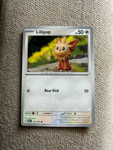Lillipup 170/197