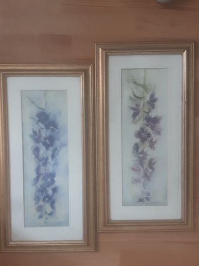 Pictures/(1) Purple Larkspur (2) Blue Larkspur .. Frame Sizes: 25" High x 13" Wide ..Heavily Reduced  Now Final Price Drop .. Both for 20.00euro