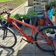 Cheap bikes