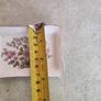 Paragon Fine Bone China England Rectangle Trinket Dish Image 3