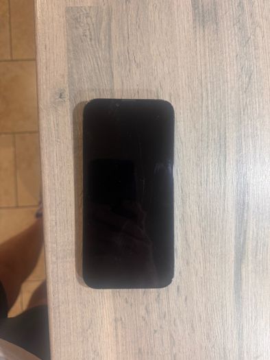 iphone 13  pro max