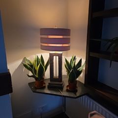 Genesis lamp