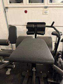 Glute ham developer / Reverse Hyper
