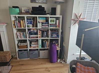 Kallax book case