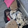 free women's clothes Image 4