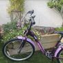 Girls  24" Bicycle/Ken Black Purple with stand and back carrier Image 4