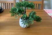 X2 fake bonsai trees