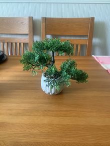 X2 fake bonsai trees