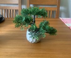 X2 fake bonsai trees