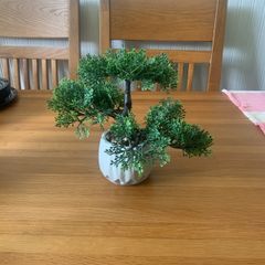 X2 fake bonsai trees