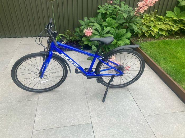 bikes