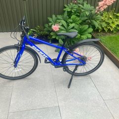 bikes