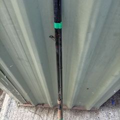 11 foot float rod with reel