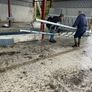 Sheep pen gates and feeding barriers Image 3