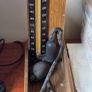 Medical collectables Image 9