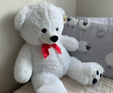 New Teddy Bear