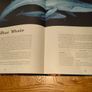 Books Image 3