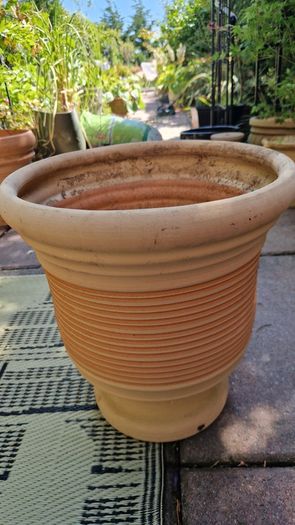 Terracotta urns