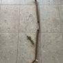Mongolian Bow Image 2