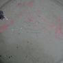 2 Antique Tin Plate Metal Box Co Portland Ware MELODY Shepherds Romantic 10" Wear Image 9