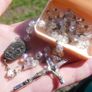 Vintage Rosary in a Decorative Box Image 3