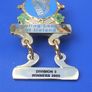 BOWLING LEAGUE OF IRELAND (Division 5 Winners 2009) - metal & enamel badge with its backing card (scarce!) Image 5