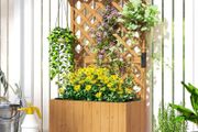 Wooden Planter with Trellis Freestanding