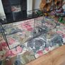 Fire Guard (Large) Image 3