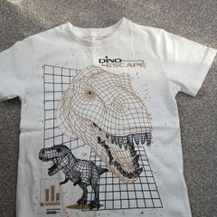 NEXT boys t-shirt .age 3
