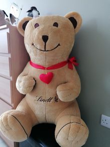 Large teddy bear