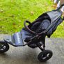 OutNAbout single buggy Image 3