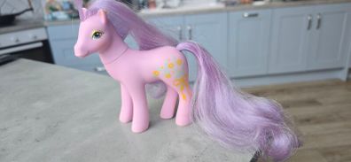 Spring Song Sweetheart Sisters MLP G1 My Little Pony