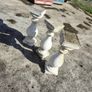 pillars concrete balustrades can be bought separately or together 13 of them  in total Image 4