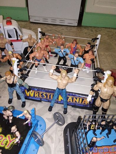 wrestlers