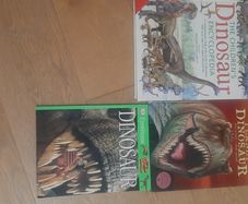 Dinosaur Books x 3
