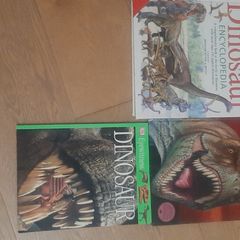 Dinosaur Books x 3